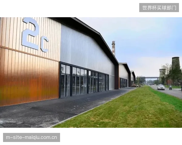 继首钢园后，全国将涌现一批由废弃工业区改造而成的极限运动与户外休闲目的地