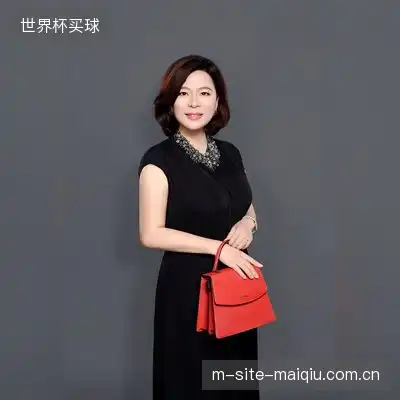 文岚
